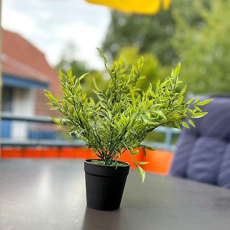 Feriendorf Papillon Wohnung 03-7 博尔滕哈根 外观 照片