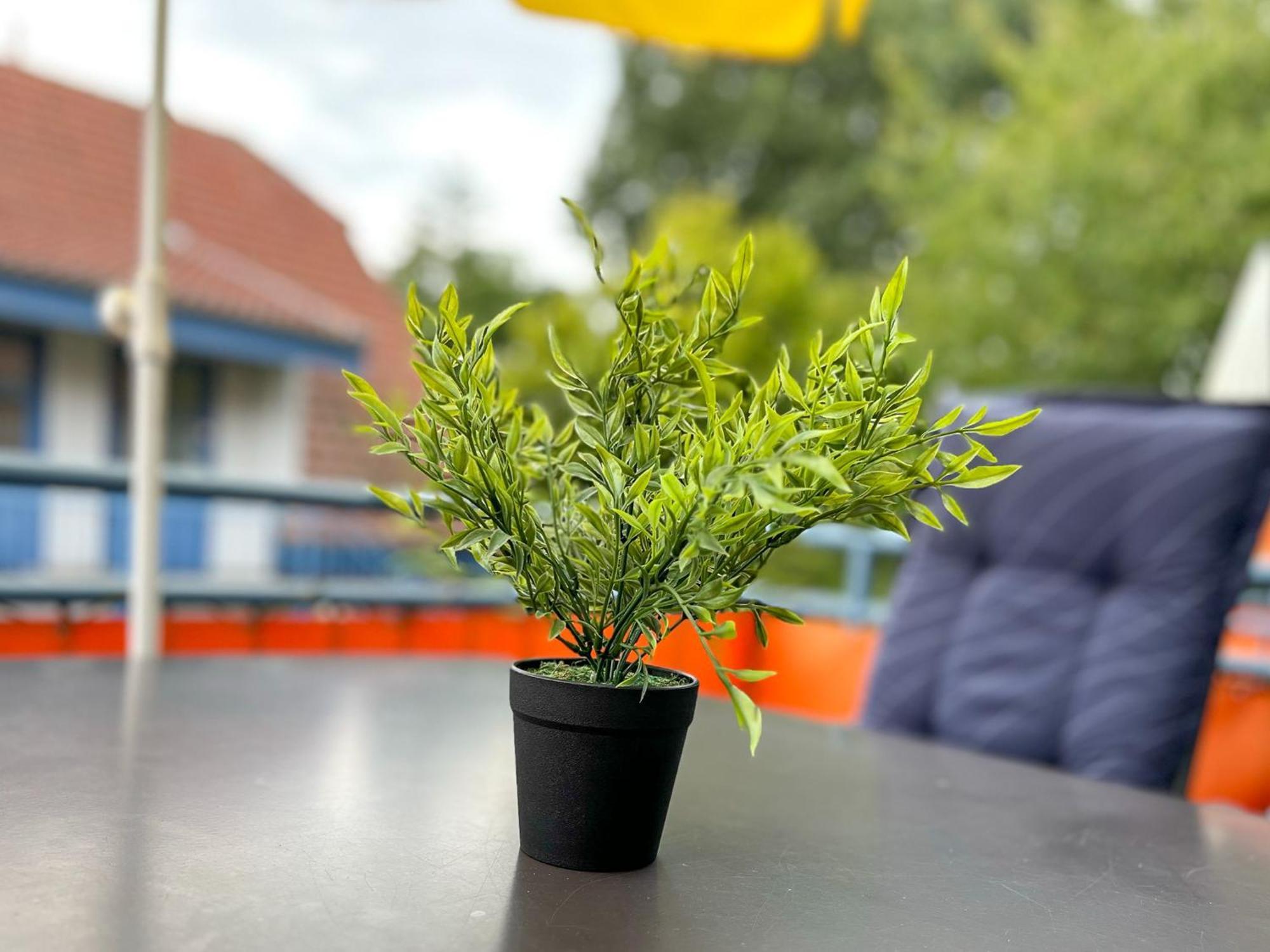 Feriendorf Papillon Wohnung 03-7 博尔滕哈根 外观 照片